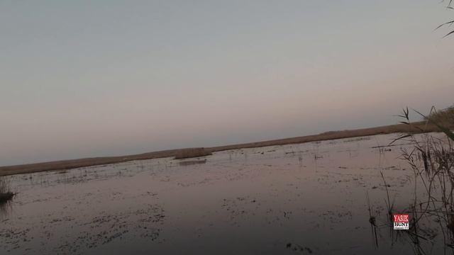 ОХОТА НА УТОК С ЧУЧАЛАМИ И ПОДСАДНЫМИ КРЯКУХАМИ / НАЛЕТ СЕРЫХ ГУСЕЙ / КРАСНОДАРСКИЙ КРАЙ 2021 смотреть онлайн