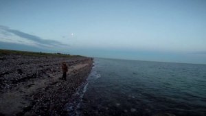 Ловля САРГАНА (Морская щука)