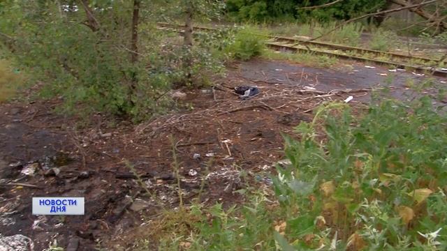 Болото из гудрона засасывает собак смотреть онлайн