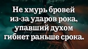 Омар Хайям. не хмурь бровей из за удара рока