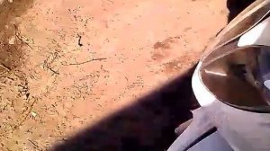 Мопед Racer Lupus 50 RC50QT-9C