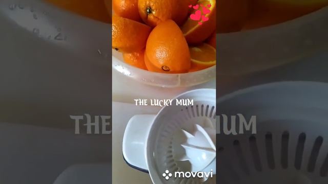 HOW TO MAKE FRESH ORANGE JUICE USING CITRUS PRESS AT HOME