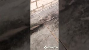 Герметизация швов в бетонных полах