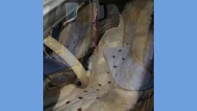 Экспресс-перетяжка салона автомобилей в Казани смотреть онлайн