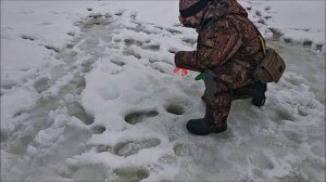 Форель ловится и на запуске и в полях. Клёвое место, Лосиный остров.