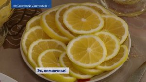 Лимонарий в поселке Советский (Крым) 12.11.2021