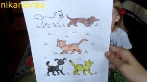 Вверх,вниз,право,лево/Ориентируемся в пространстве/Развивающие занятия для детей.