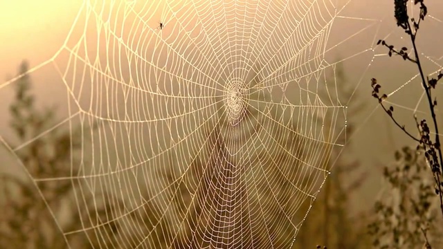 ПЛАЧЕТ НЕБО НАВЗРЫД смотреть онлайн