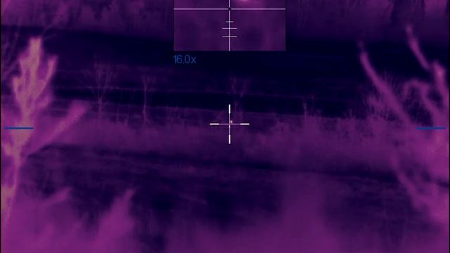 123 yards with Pulsar Trail 2 XP 50 смотреть онлайн