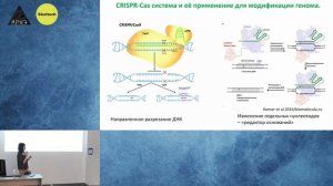 Лекция "Как перестать бояться ГМО" в рамках проекта "Сколтех в Архэ"