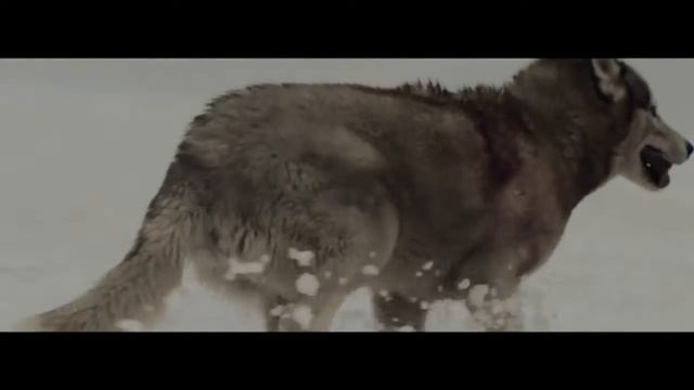 [exo fanfiction teaser] Жребий брошен  - Alea iacta est (by Karto) смотреть онлайн