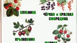 Здравствуй, лето! Презентация