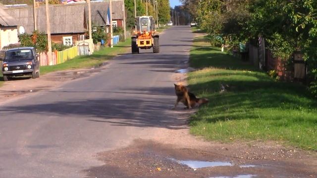 Погружение в Деревенскую Жизнь под чарующую Флейту и Стихотворение Татьяна Беспалова смотреть онлайн