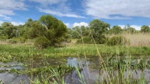 ЧТО может ДЕВУШКА за рулём НИВЫ Серёги