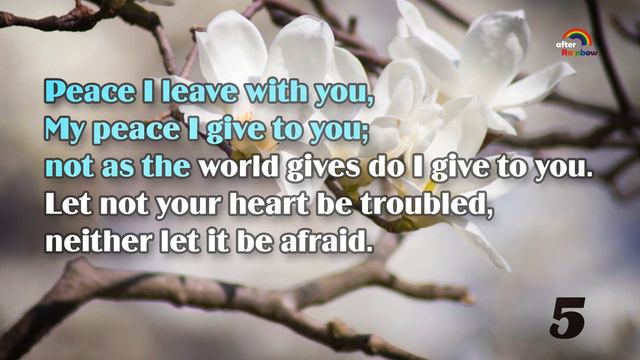 🟡 Back to WORD ★ Book 16 ★ Bible Verse | Encouragement Hope Bible Verses