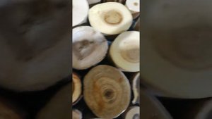 Настенное панно из спилов дерева Часть 2