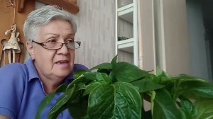 557. Перец и молочная сыворотка оказались врагами... Срочно смотреть!