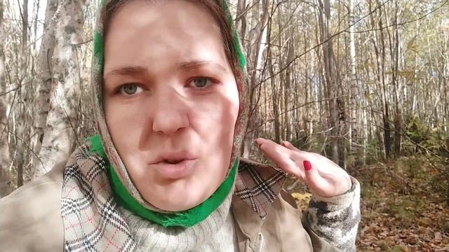 В ЛЕС ЗА ГРИБАМИ 2022 | ЛЕС РЯДОМ С УЧАСТКОМ | ЧТО НАШЛА В ЛЕСУ