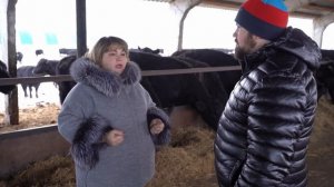 Абердин-Ангусы в Казахстане: реальные привесы, тонкости выращивания, секреты реализации КРС