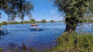 Река Ловать. Лодка уплыла. Июнь 2021.