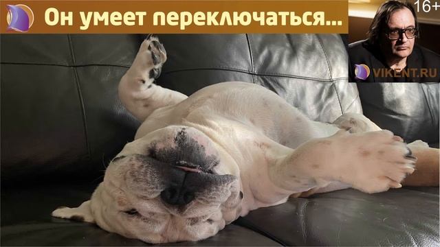 #КОНСУЛЬТАЦИЯ № 255 о СОЗДАНИИ АВТОРСКИХ МЕТОДИК по ПРИНЯТИЮ РЕШЕНИЙ: