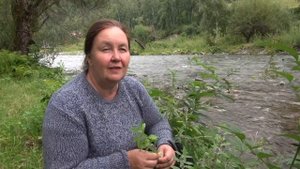 МЯТА ЛУГОВАЯ || Полезные свойства и применение