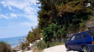 Сочи мамайка 73 километр пляж море пальмы природа .