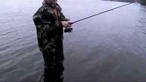 фион шатура белое озеро