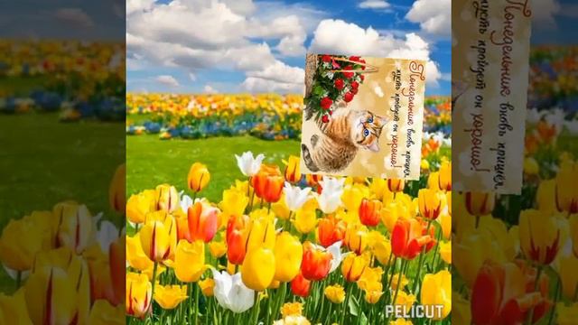 🍁Понедельник! #позитив #открытка #хорошеенастроение #добрыйдень #осень 🍂🍃
