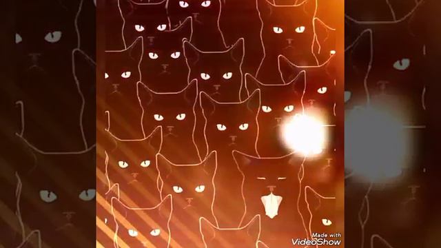 Почтим память о погибших животных! смотреть онлайн