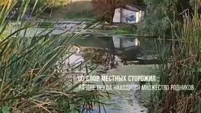 г.Симферополь перекрёсток ул.Севастопольская-Данилова