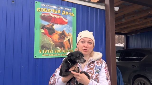 Отзыв о гостинице Собачья Дача.