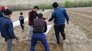 Потплайнка ковун,экишни урганамиз.