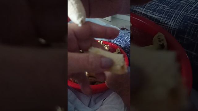 у Серёжи авитаминоз, нога дёргается уже смотреть онлайн