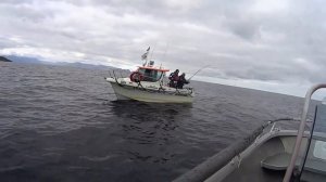 Рыбалка на палтуса