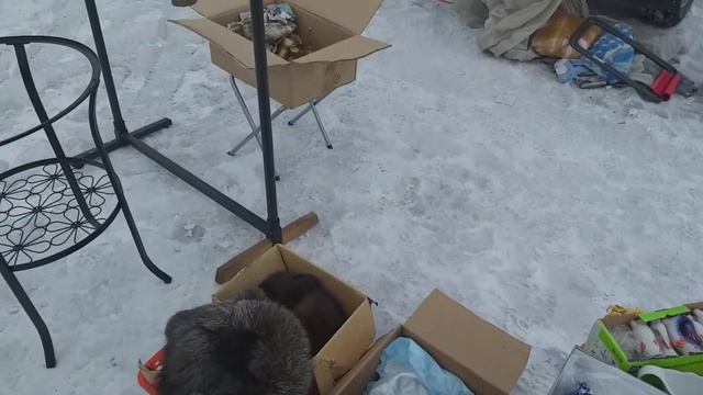 БАРАХОЛКА  ХАКАСИЯ ЧЕРНОГОРСК  ФРИМАРКЕТ  БЛОШКА