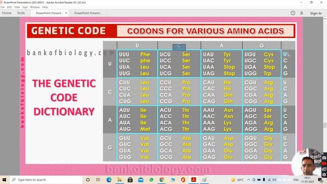 Class 12 Biology Chapter 6 MOLECULAR BASIS OF INHERITANCE