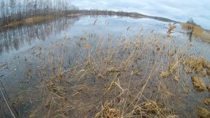 Весенний жор крупной плотвы. Рыбалка весной на Волге, на поплавок.