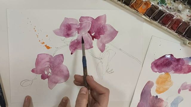 Мастер-класс акварелью. Орхидея смотреть онлайн