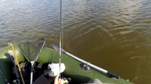 Разловил спиннинг Crazy Fish Arion и сравнил с Graphiteleader Corto