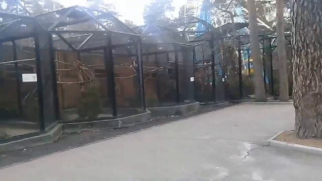 утки #3 поход в зоопарк и много чего смотреть онлайн