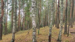 Озеро Глубокое, Ленинградская область 16.09.2022