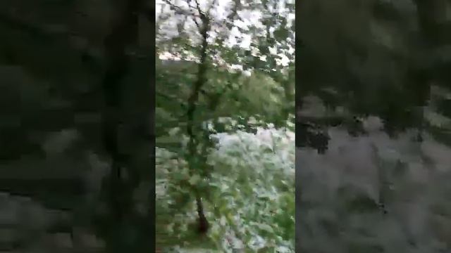 #Град  ст. Зеленчукская. КЧР