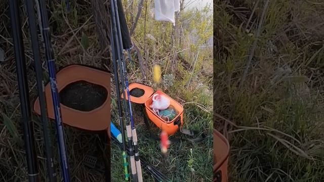 Раздольное, приморский край, идём ловить карасей на озеро. смотреть онлайн