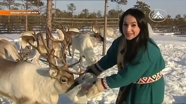2019 03 13 Стойбище Сопочина Рыбалка Олени смотреть онлайн