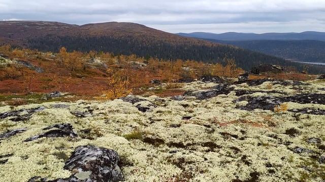 Осенний Кольский: Лапландский заповедник смотреть онлайн