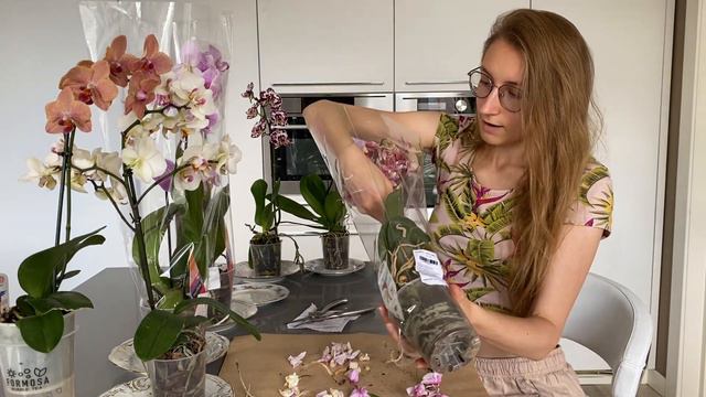 СЕМЬ новых ОРХИДЕЙ Биг Липов Мультифлор ПОДРОБНОЕ ВИДЕО о орхидеях после покупки, чем обработать