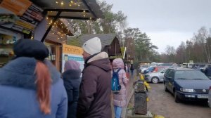 Калининград Куршская коса Зеленоградск