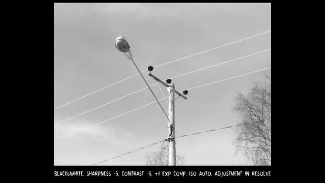 Olympus Camedia C-5060 video samples смотреть онлайн