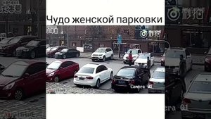 Как паркуются женщины